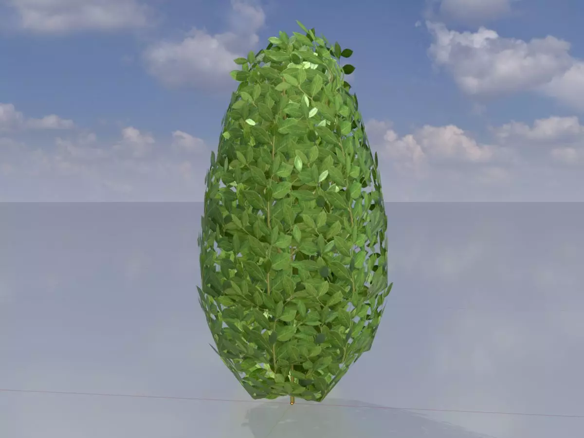 Cherry laurel hedge 500mm version-6 Low-poly 3D model_0