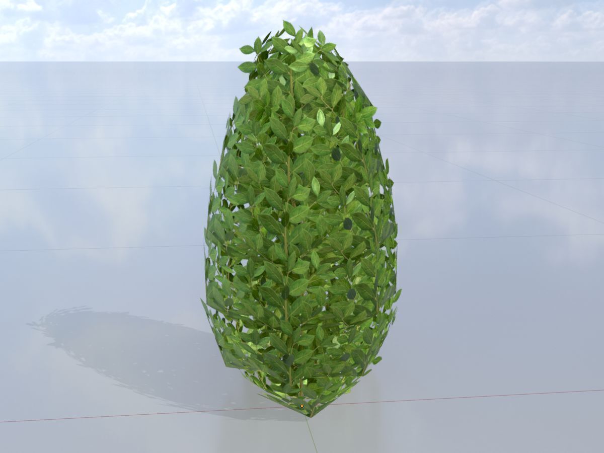 Cherry laurel hedge 500mm version-6 Low-poly 3D model_3