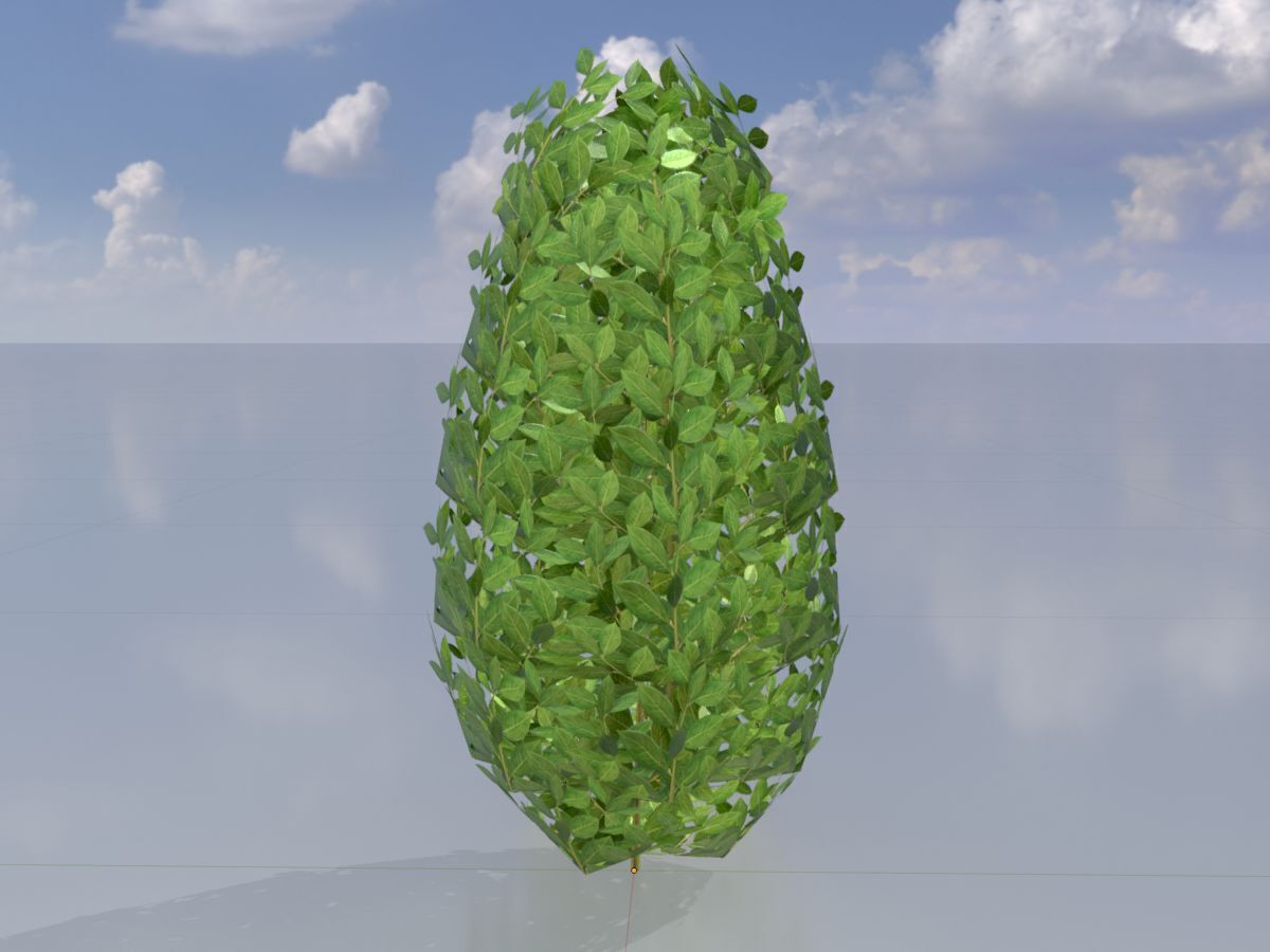 Cherry laurel hedge 500mm version-6 Low-poly 3D model_2
