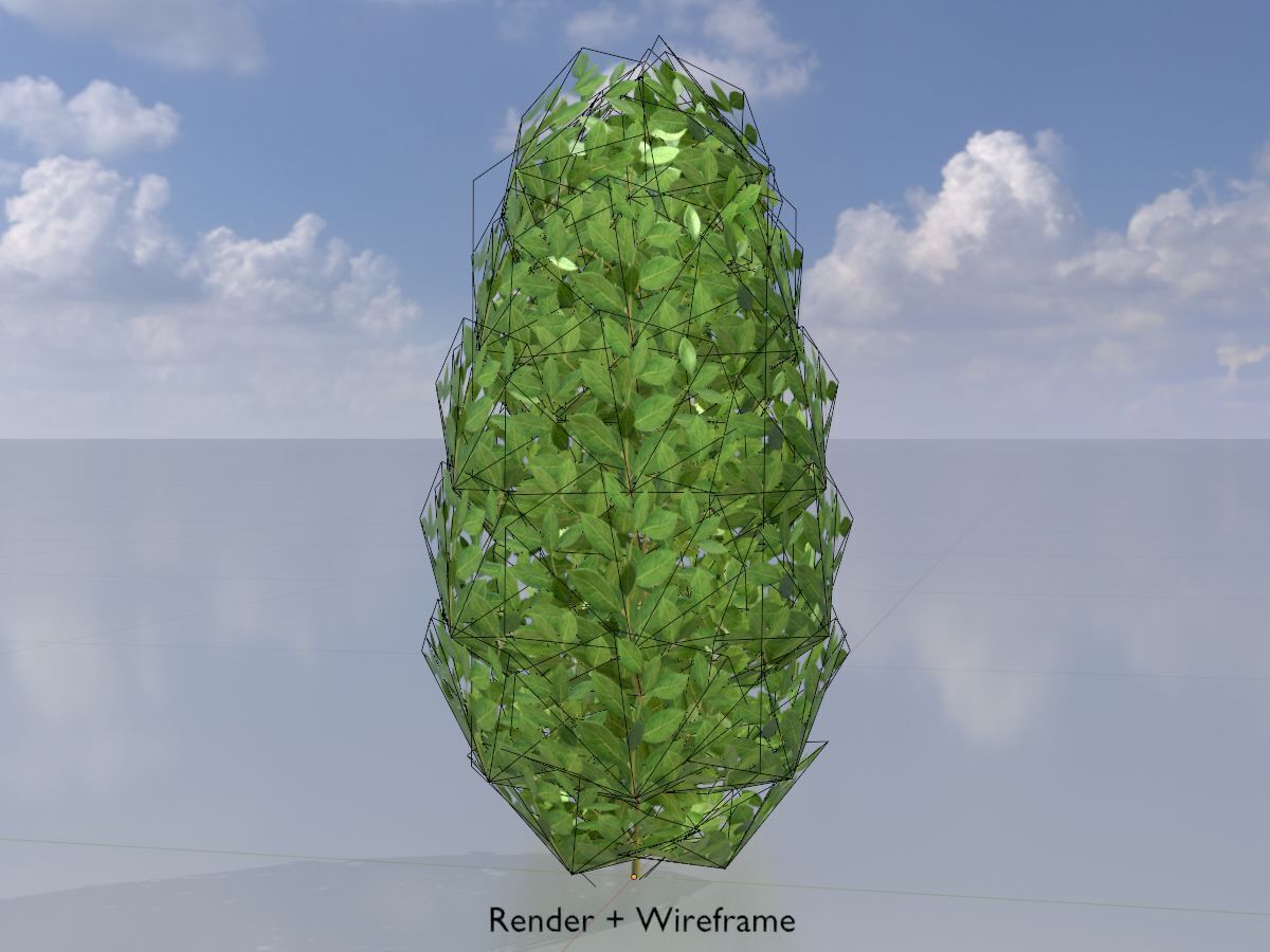 Cherry laurel hedge 500mm version-6 Low-poly 3D model_6