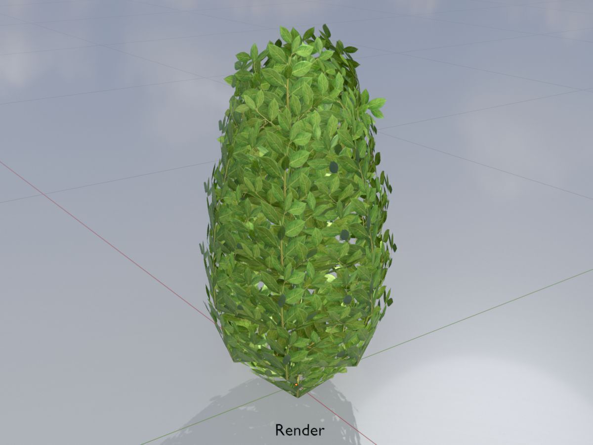 Cherry laurel hedge 500mm version-6 Low-poly 3D model_14