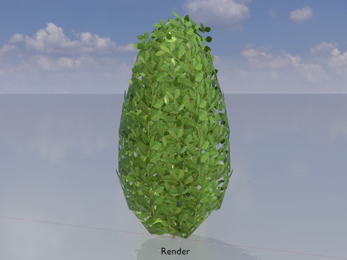 Cherry laurel hedge 500mm version-6 Low-poly 3D model_13