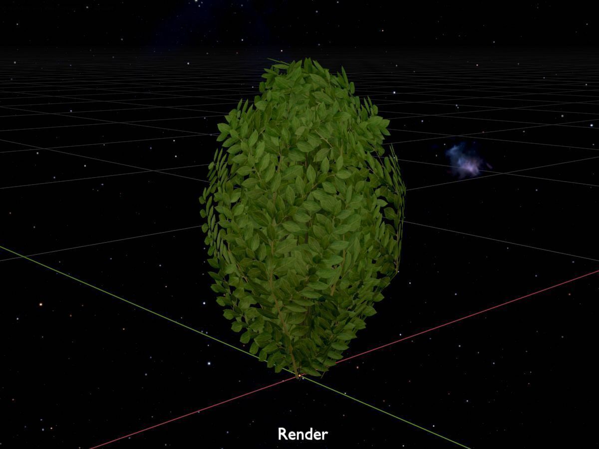 Cherry laurel hedge 500mm version-7 Low-poly 3D model_17