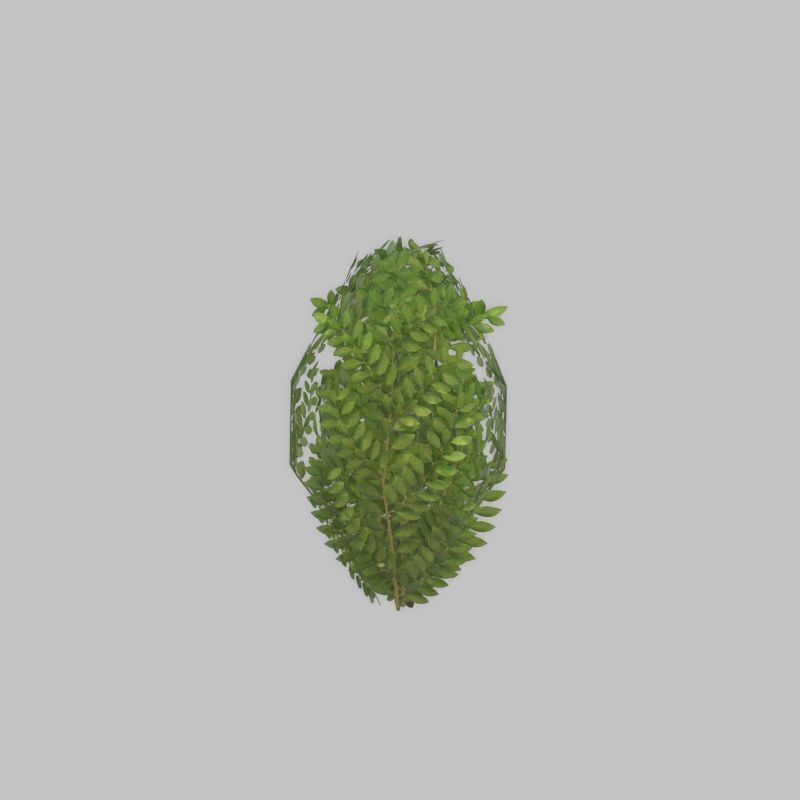 Cherry laurel hedge 500mm version-7 Low-poly 3D model_45
