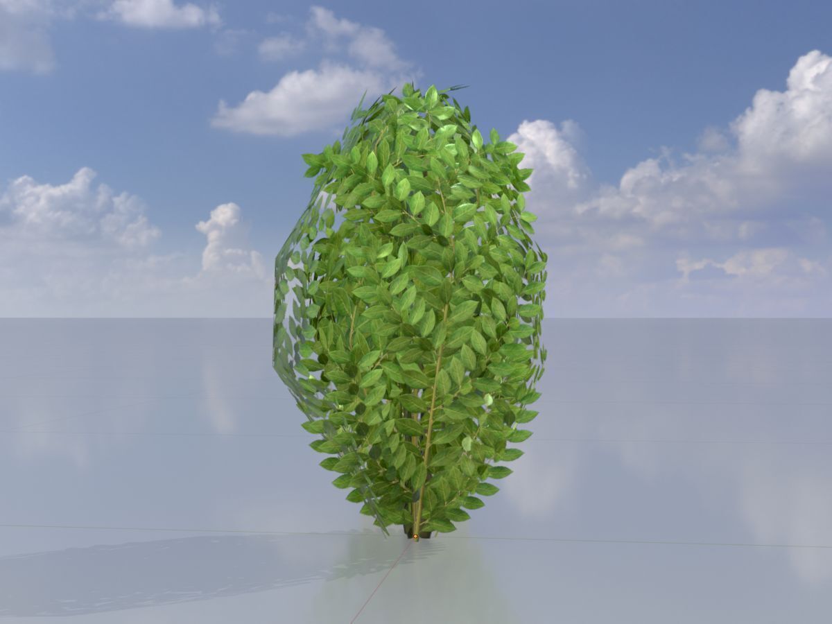 Cherry laurel hedge 500mm version-7 Low-poly 3D model_3