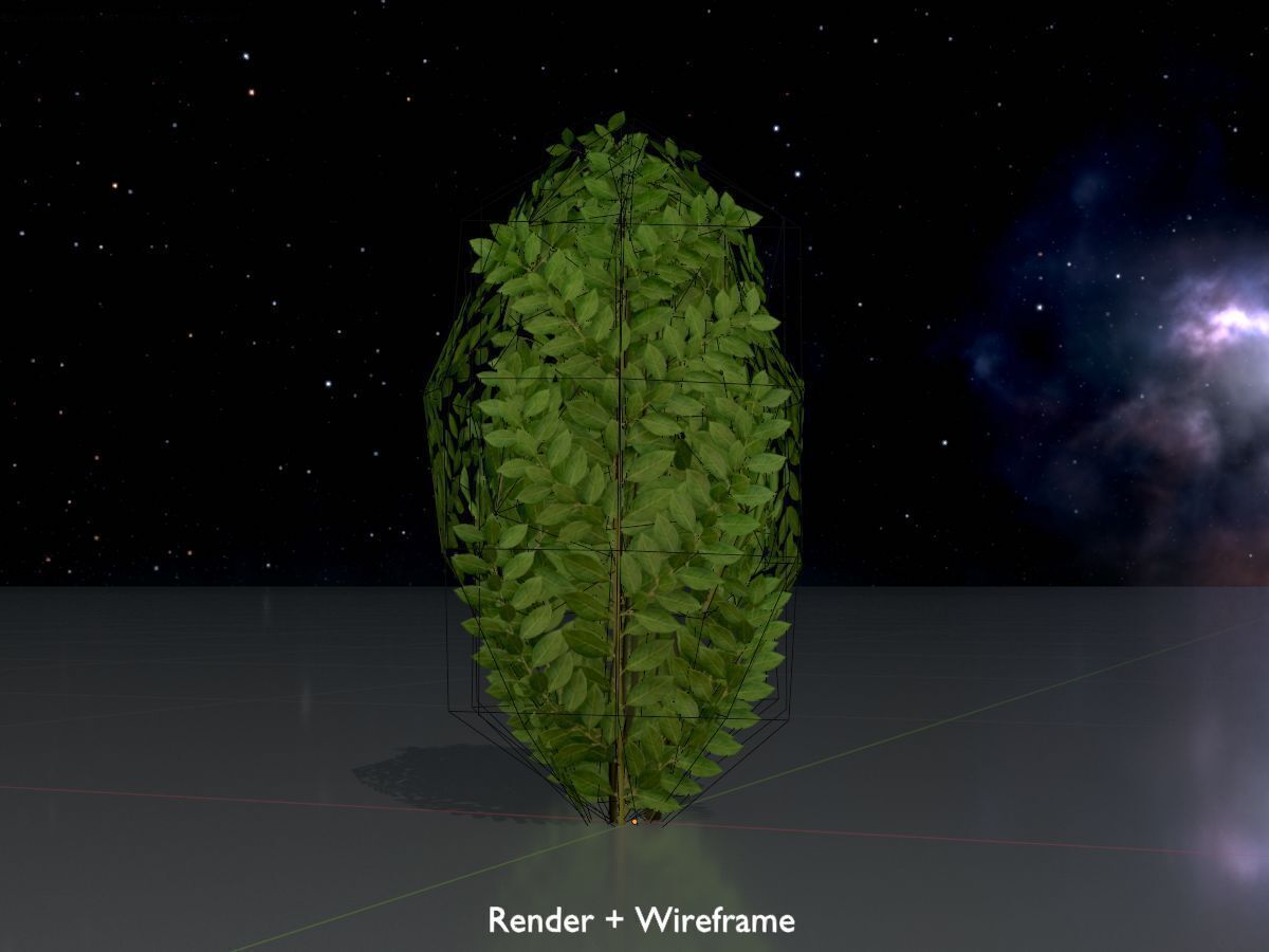 Cherry laurel hedge 500mm version-7 Low-poly 3D model_7