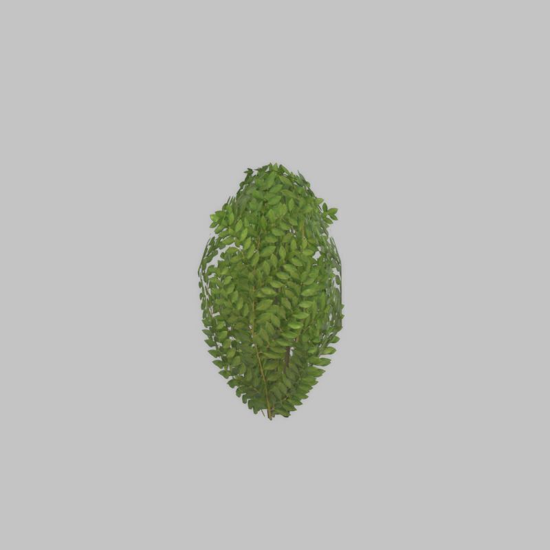 Cherry laurel hedge 500mm version-7 Low-poly 3D model_53