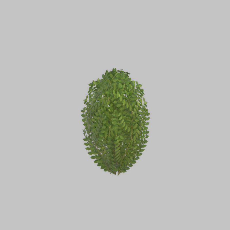 Cherry laurel hedge 500mm version-7 Low-poly 3D model_50