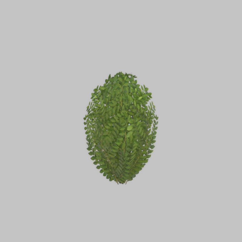 Cherry laurel hedge 500mm version-7 Low-poly 3D model_48