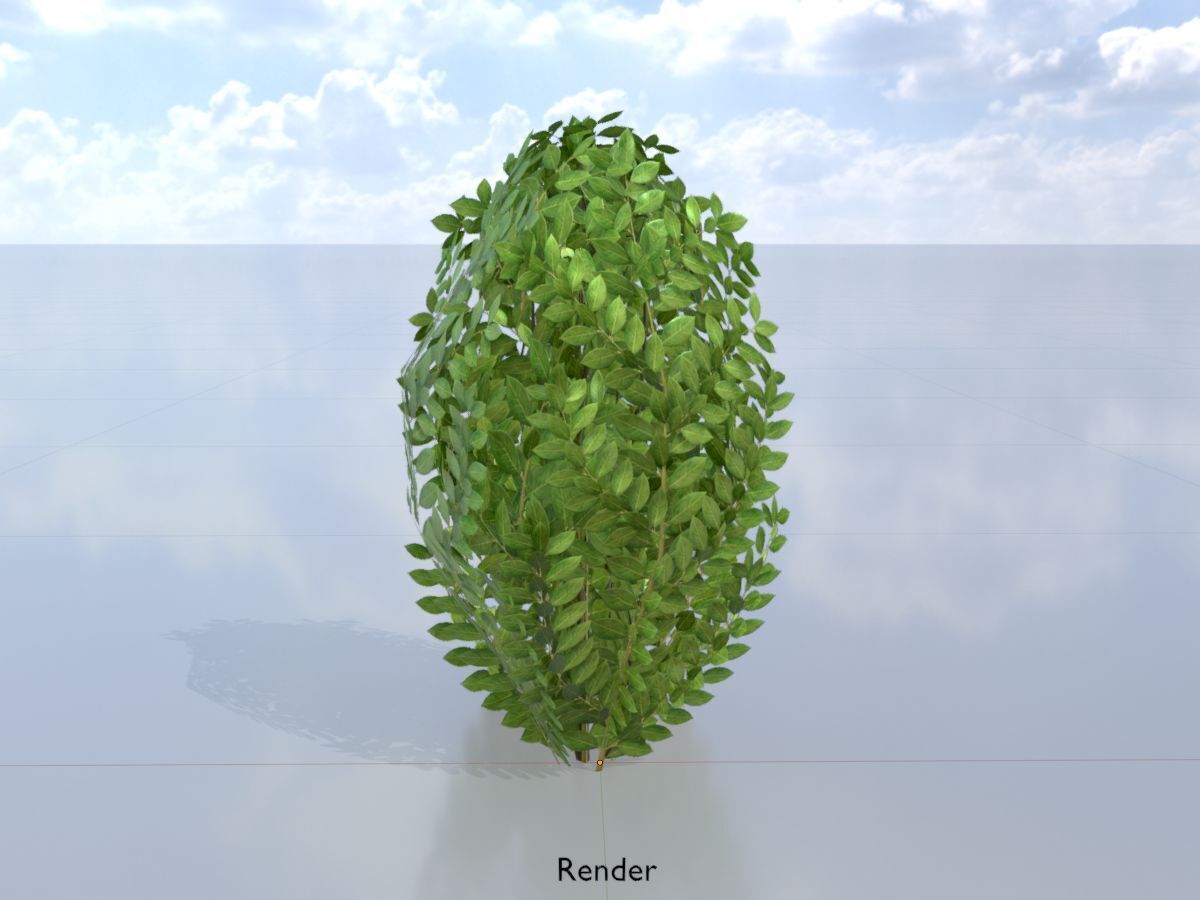 Cherry laurel hedge 500mm version-7 Low-poly 3D model_15
