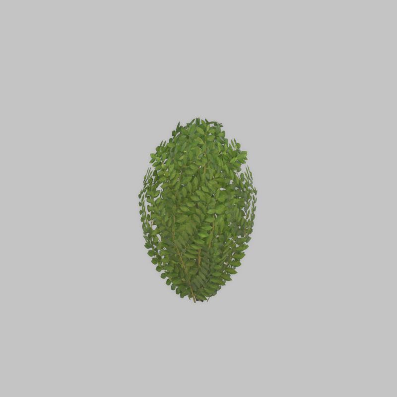 Cherry laurel hedge 500mm version-7 Low-poly 3D model_47