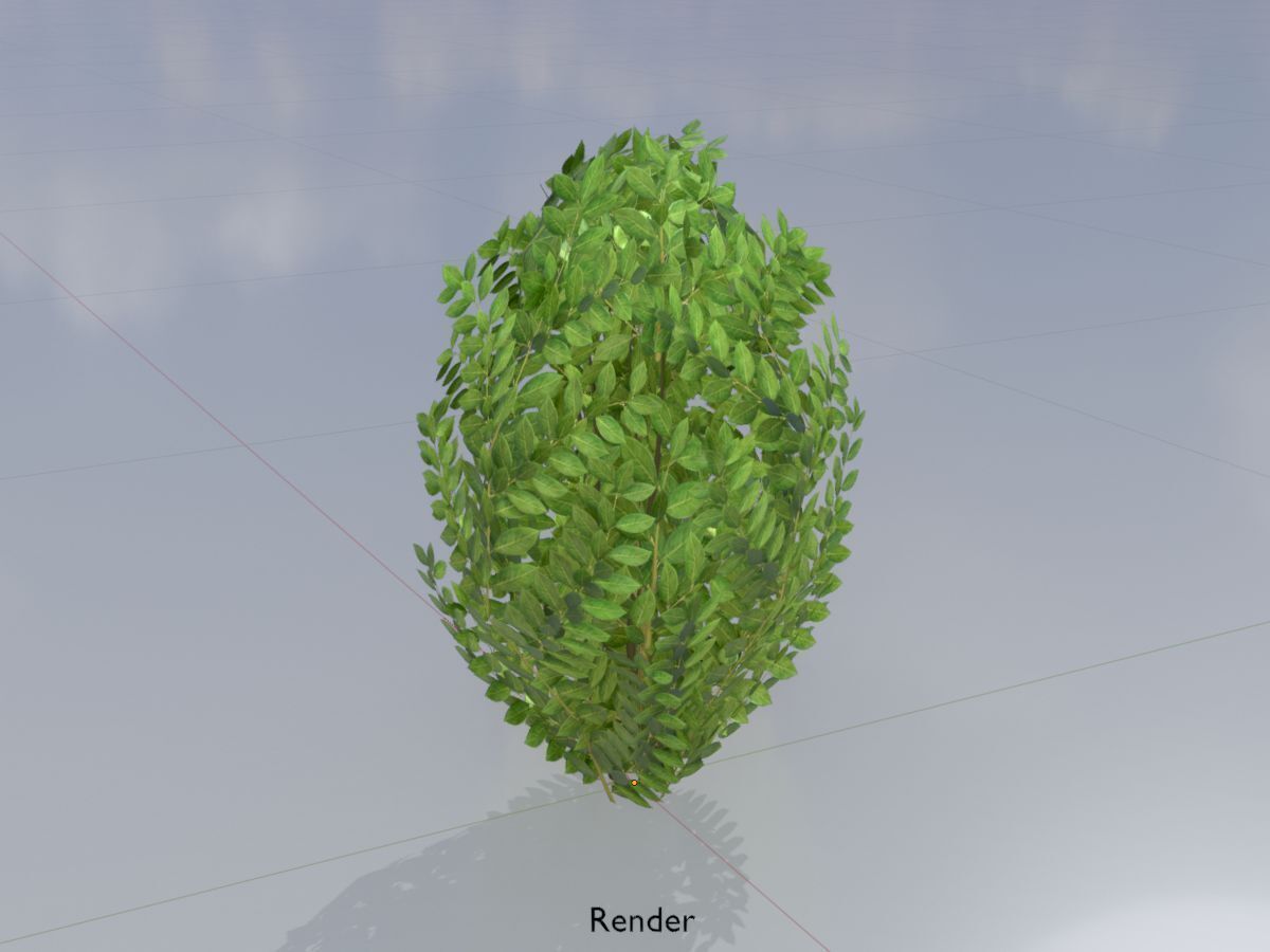 Cherry laurel hedge 500mm version-7 Low-poly 3D model_14