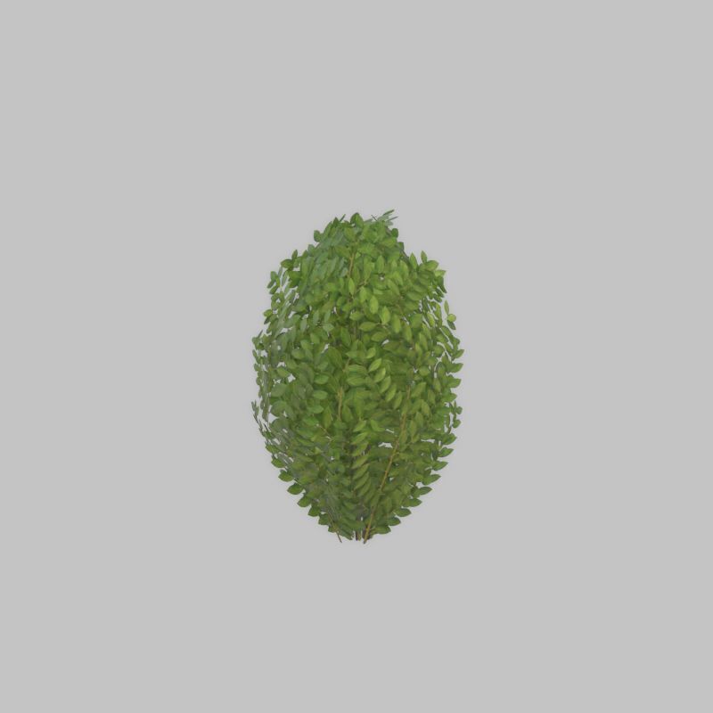 Cherry laurel hedge 500mm version-7 Low-poly 3D model_40