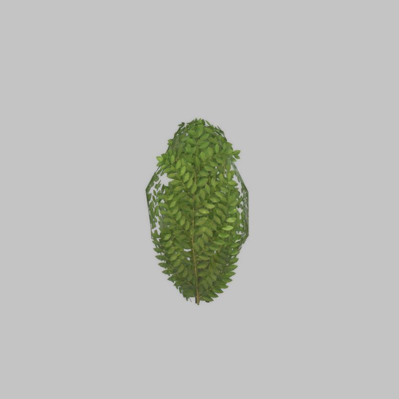 Cherry laurel hedge 500mm version-7 Low-poly 3D model_52
