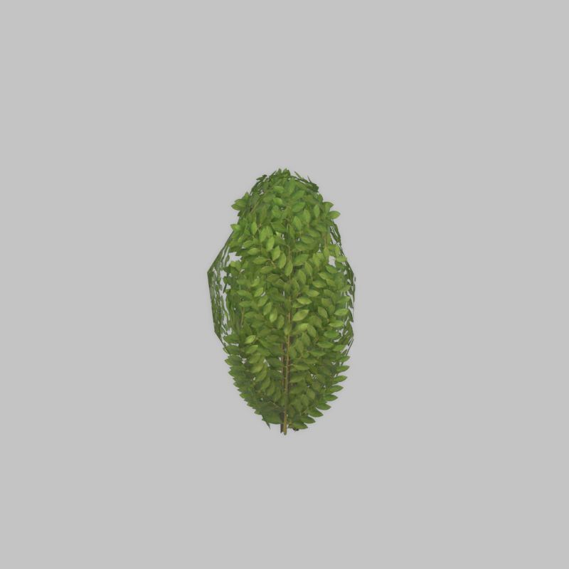 Cherry laurel hedge 500mm version-7 Low-poly 3D model_43