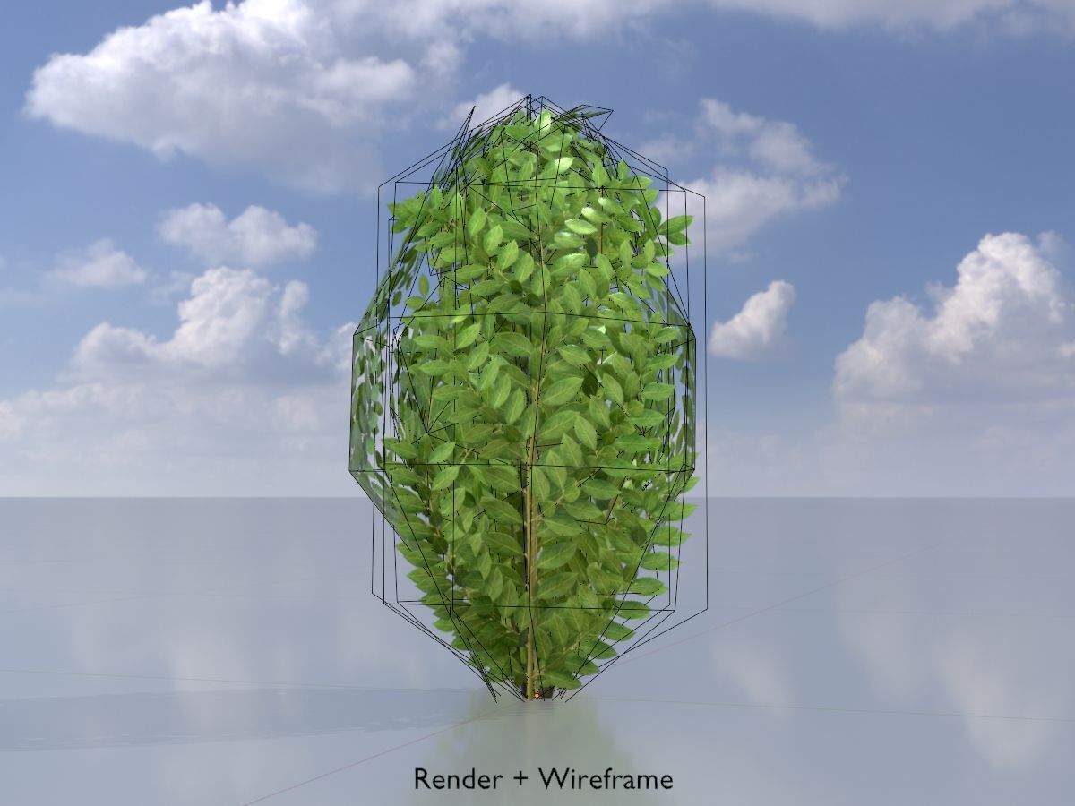 Cherry laurel hedge 500mm version-7 Low-poly 3D model_6
