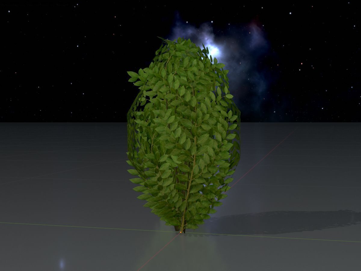 Cherry laurel hedge 500mm version-7 Low-poly 3D model_4