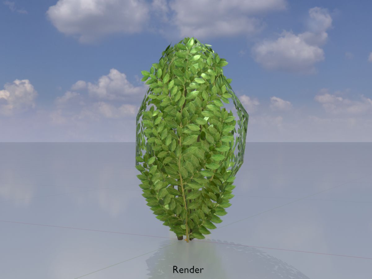 Cherry laurel hedge 500mm version-7 Low-poly 3D model_13