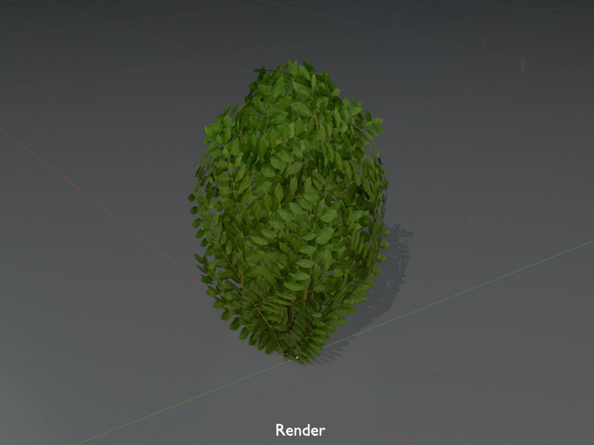 Cherry laurel hedge 500mm version-7 Low-poly 3D model_16