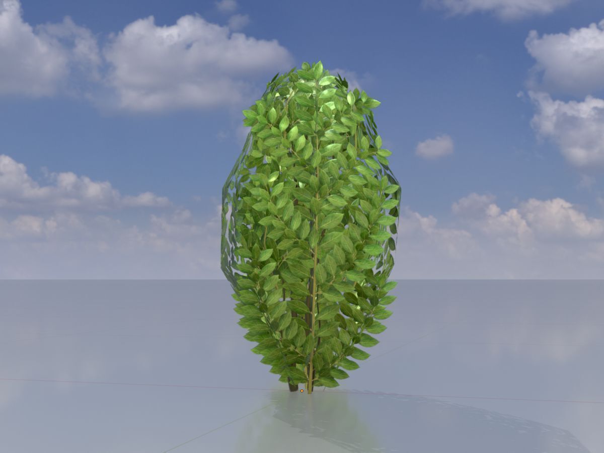 Cherry laurel hedge 500mm version-7 Low-poly 3D model_2