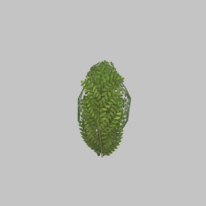 Cherry laurel hedge 500mm version-7 Low-poly 3D model_35