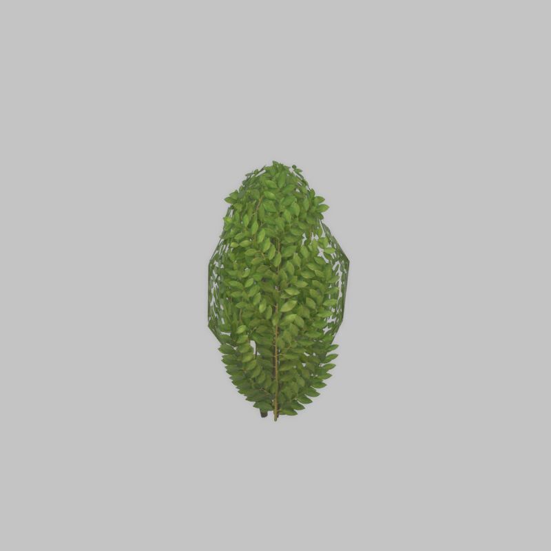 Cherry laurel hedge 500mm version-7 Low-poly 3D model_34