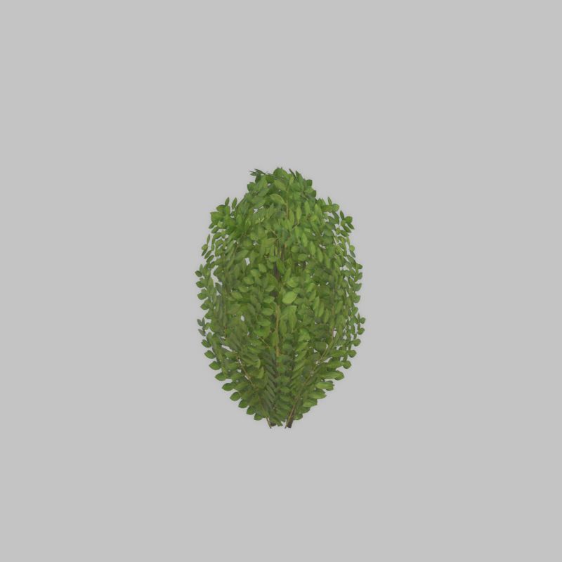 Cherry laurel hedge 500mm version-7 Low-poly 3D model_56