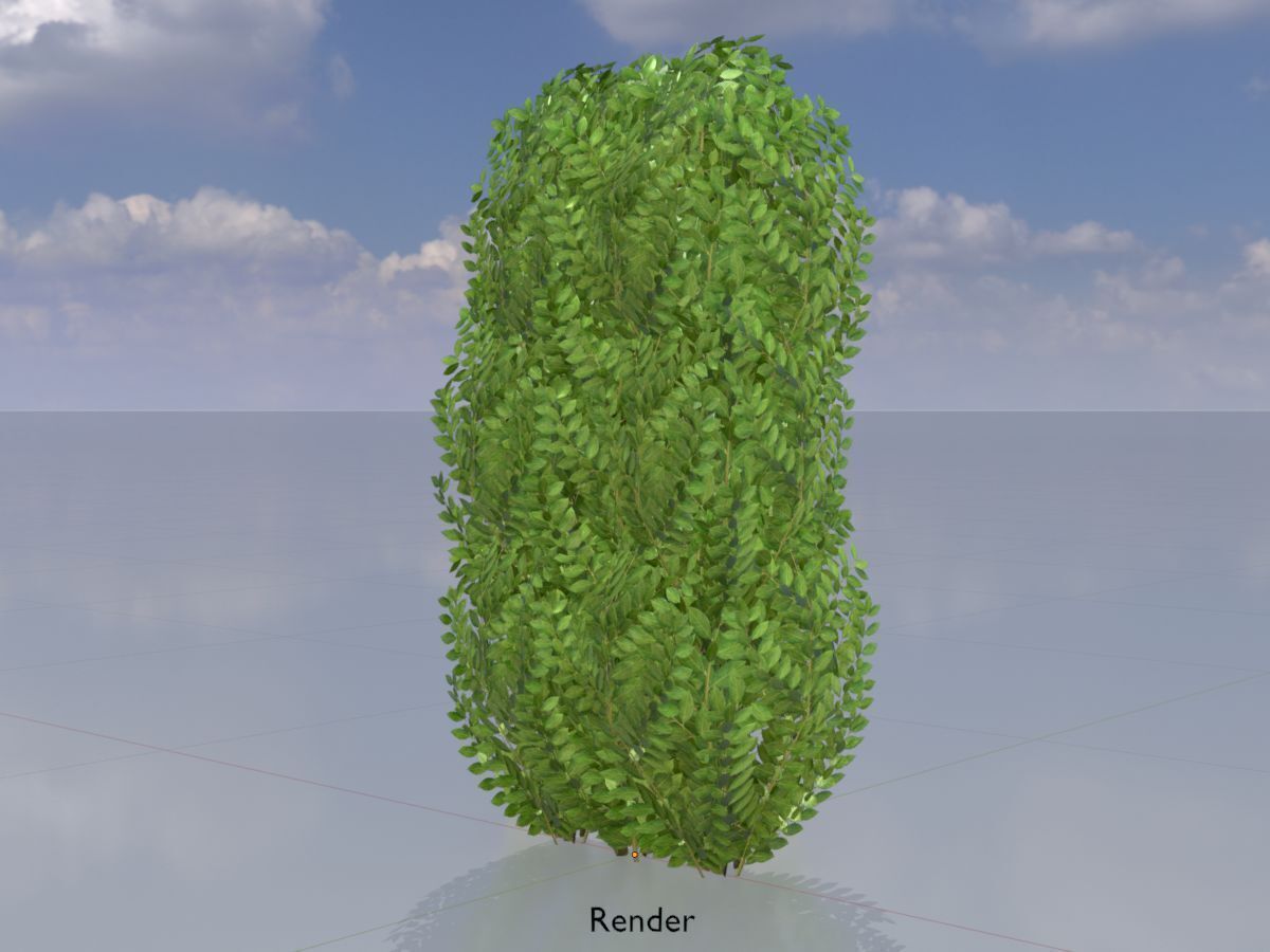 Cherry laurel hedge 1000mm version-3 Low-poly 3D model_13