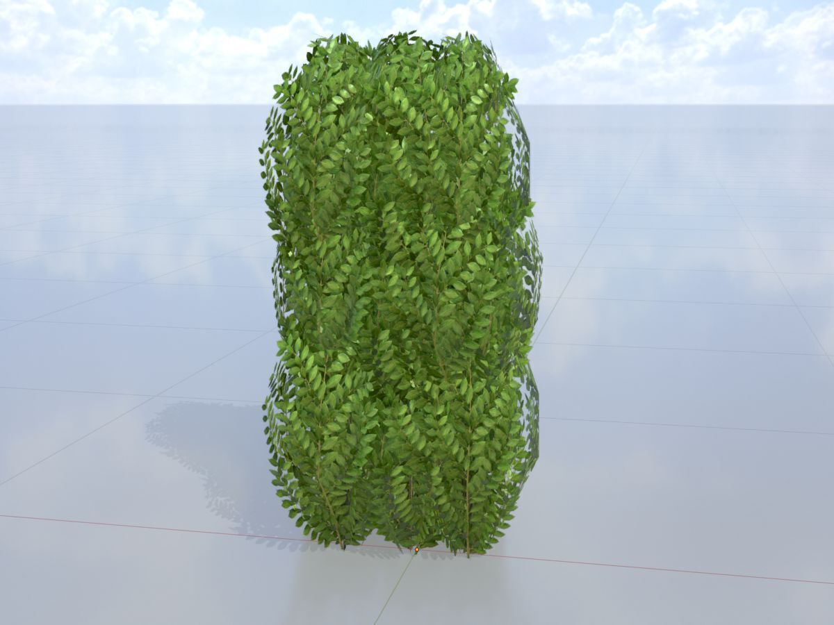 Cherry laurel hedge 1000mm version-3 Low-poly 3D model_3