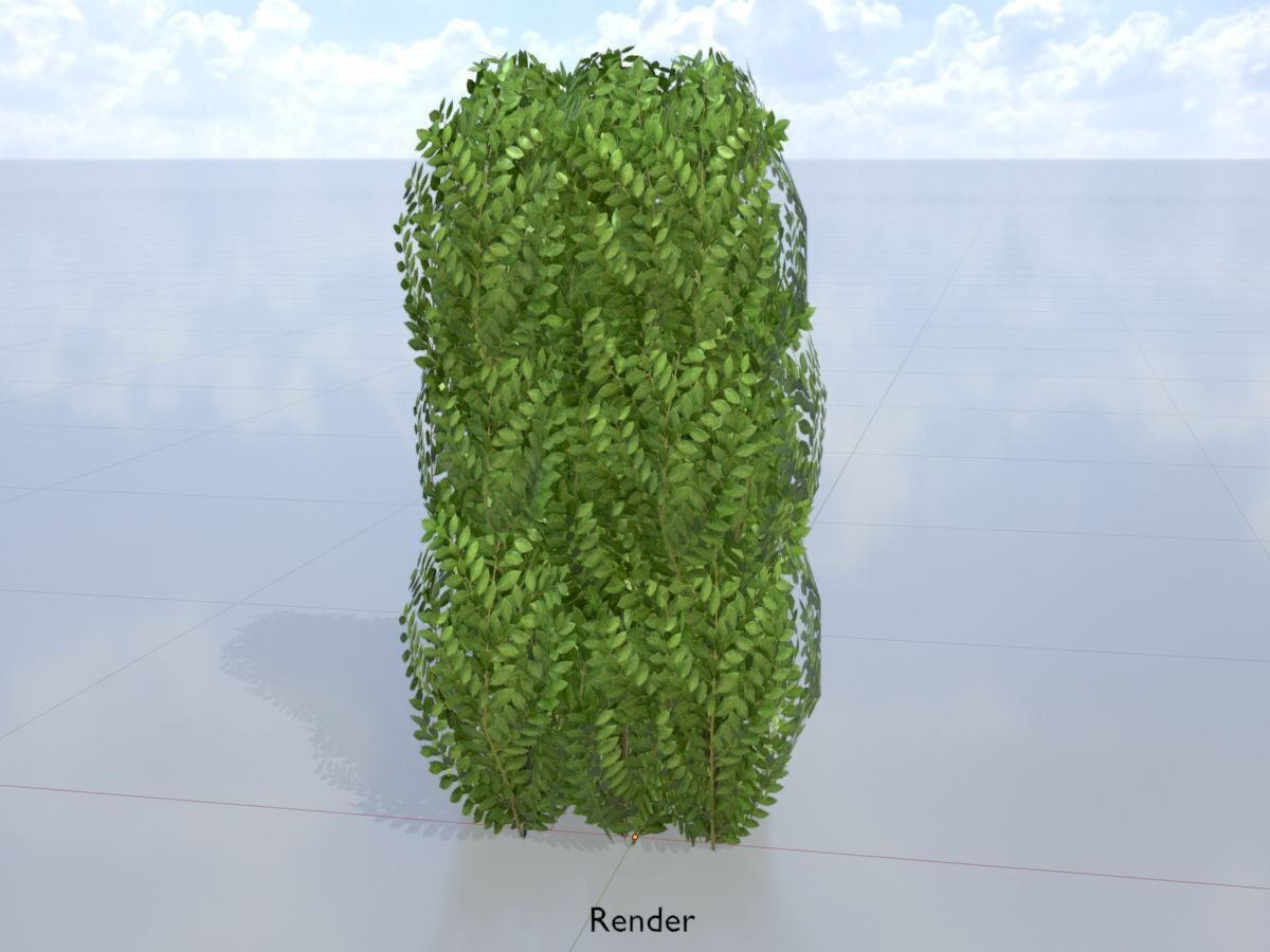 Cherry laurel hedge 1000mm version-3 Low-poly 3D model_15