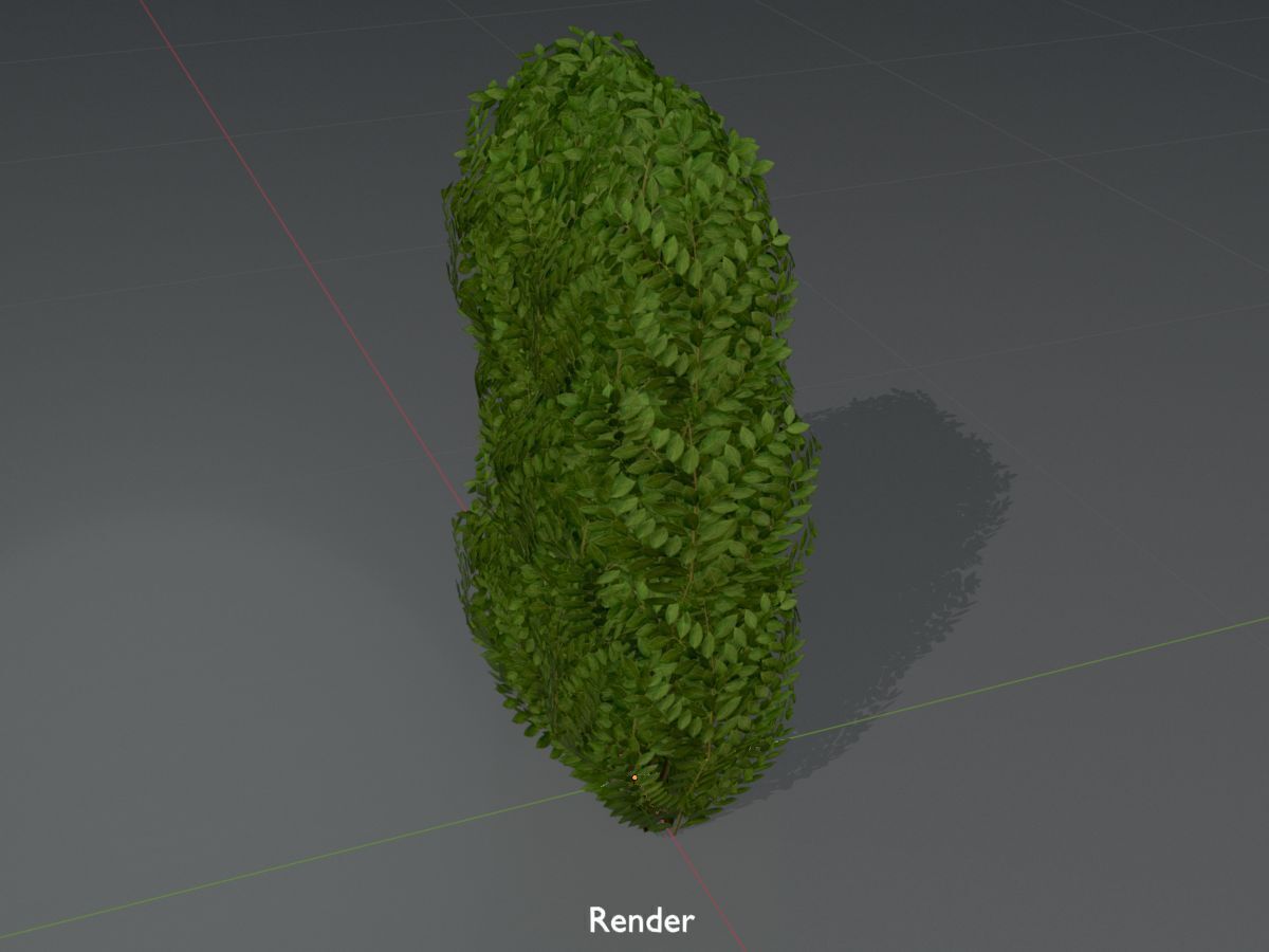Cherry laurel hedge 1000mm version-3 Low-poly 3D model_16