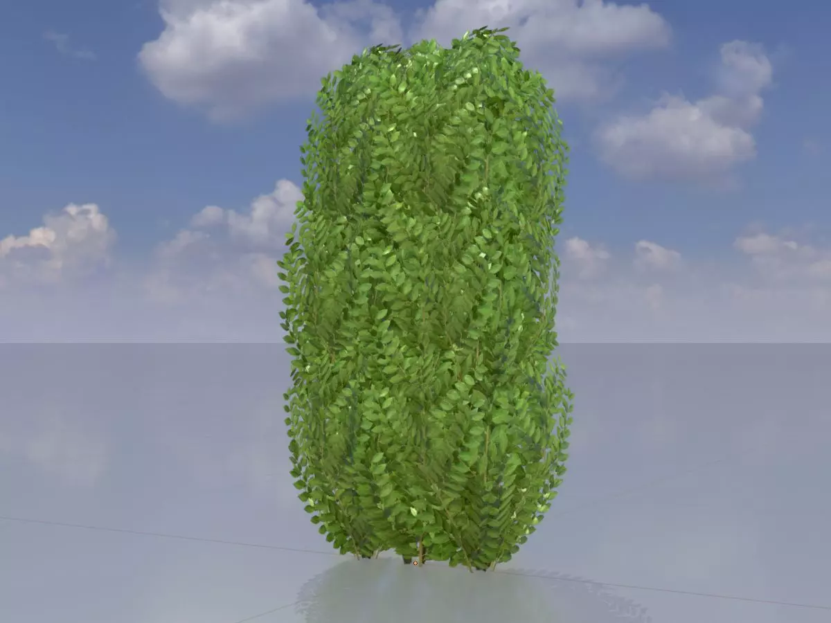 Cherry laurel hedge 1000mm version-3 Low-poly 3D model_0