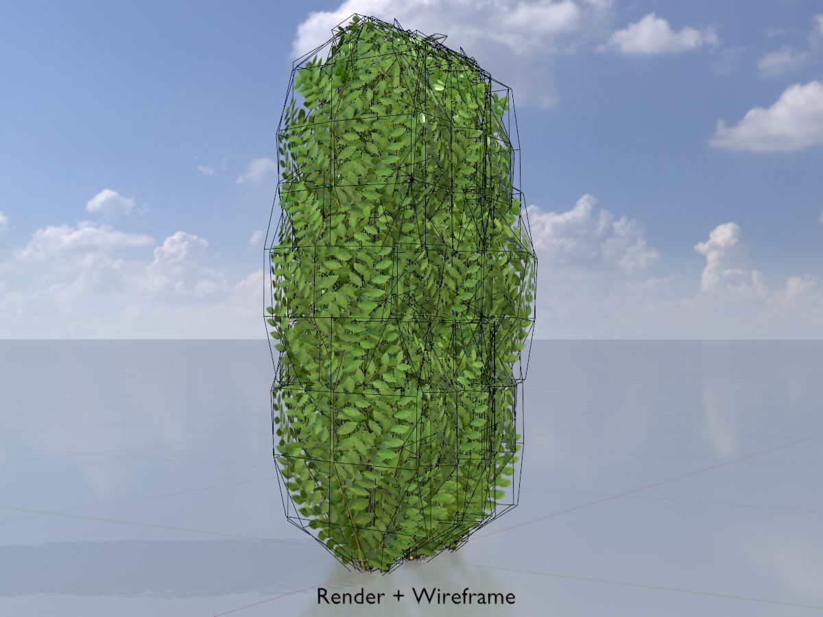 Cherry laurel hedge 1000mm version-3 Low-poly 3D model_6