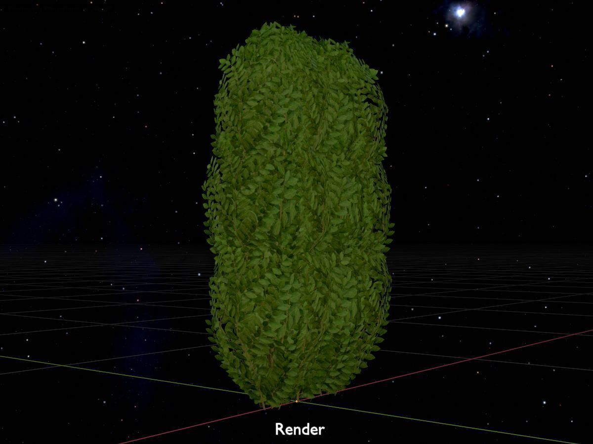 Cherry laurel hedge 1000mm version-3 Low-poly 3D model_20