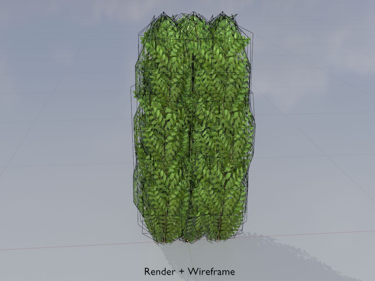 Cherry laurel hedge 1000mm version-3 Low-poly 3D model_5