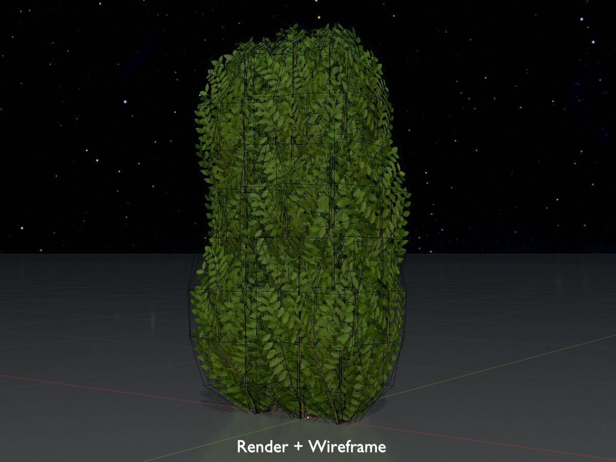 Cherry laurel hedge 1000mm version-3 Low-poly 3D model_7