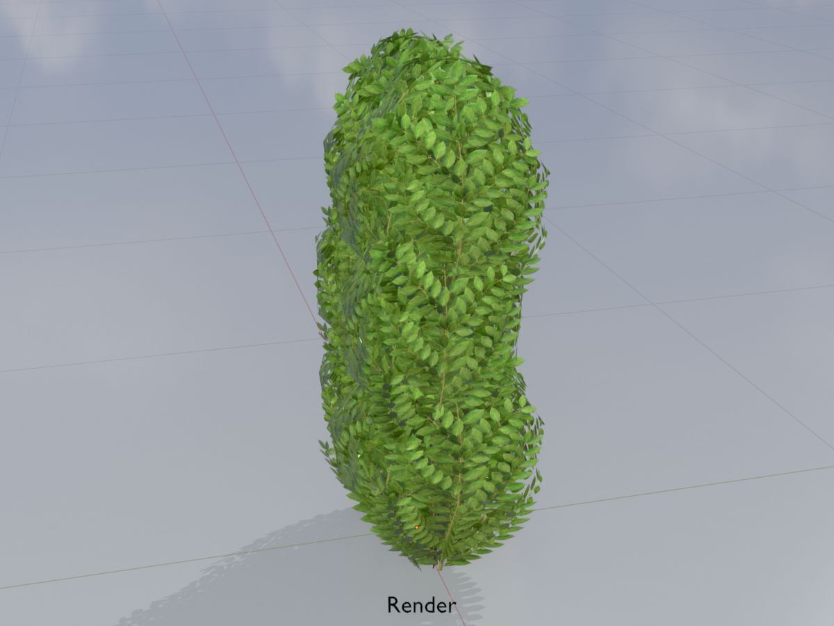 Cherry laurel hedge 1000mm version-3 Low-poly 3D model_14