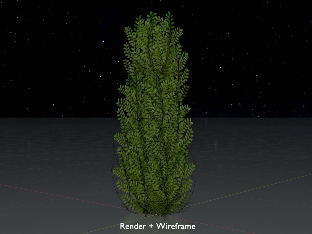 Cherry laurel hedge 1500mm version-1 Low-poly 3D model_7