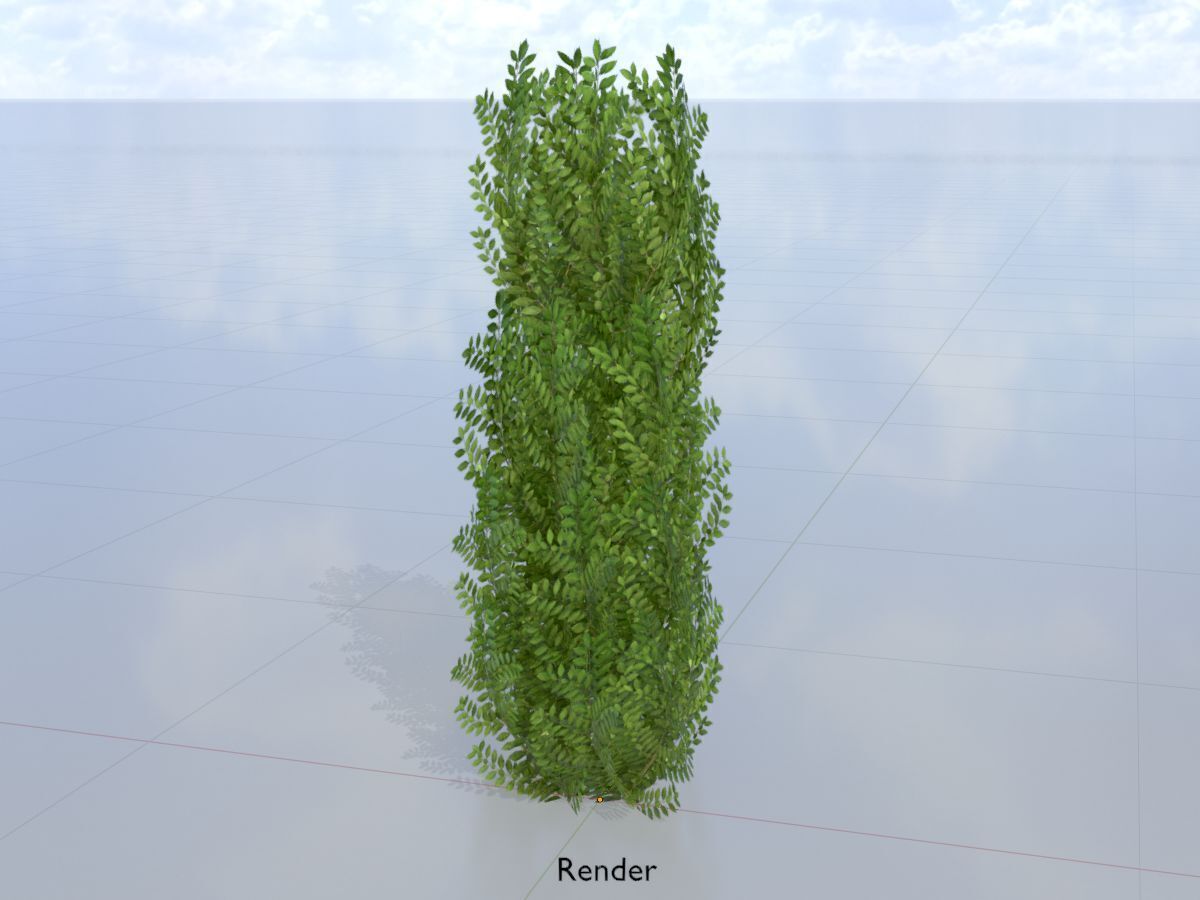 Cherry laurel hedge 1500mm version-1 Low-poly 3D model_15