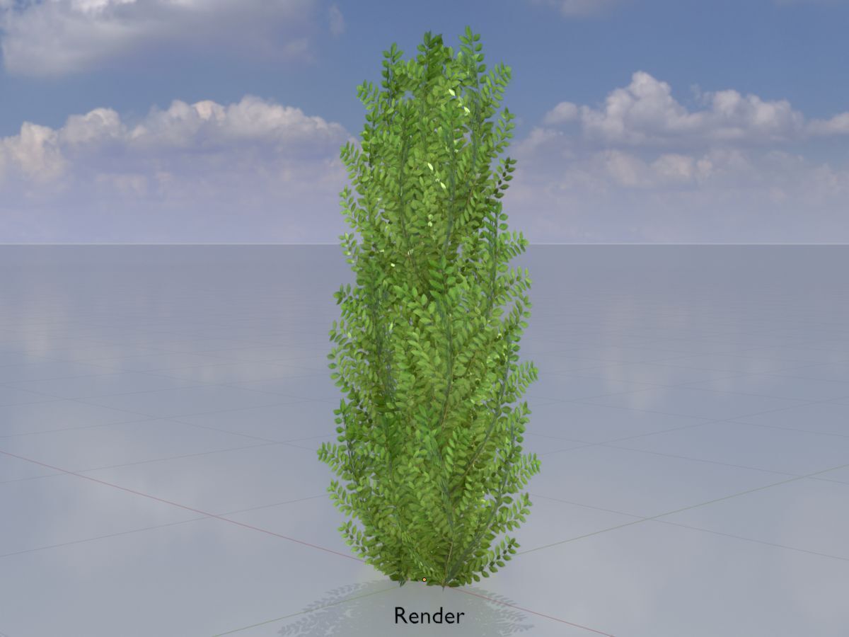 Cherry laurel hedge 1500mm version-1 Low-poly 3D model_13