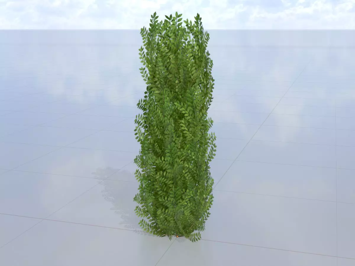 Cherry laurel hedge 1500mm version-1 Low-poly 3D model_0