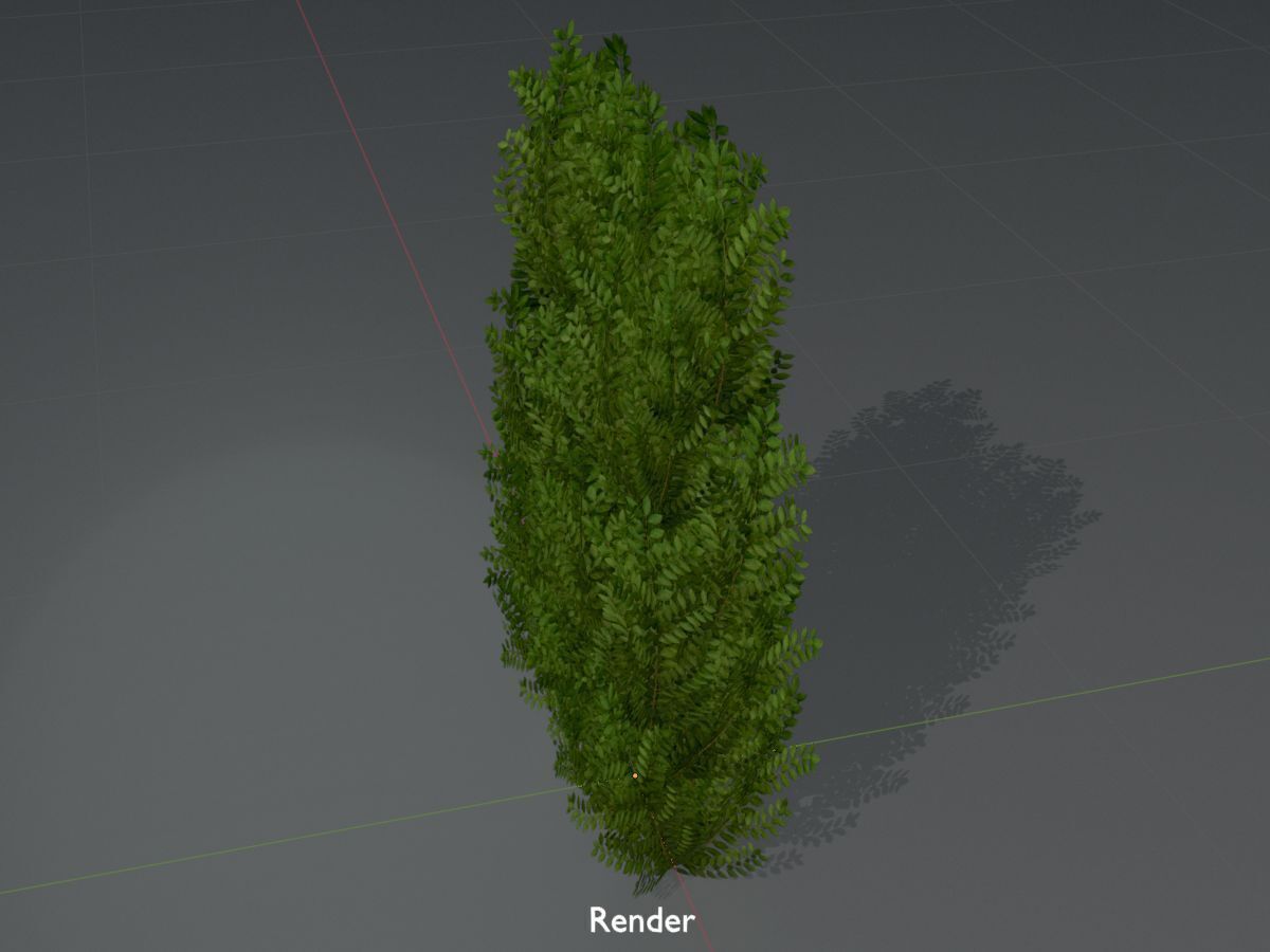 Cherry laurel hedge 1500mm version-2 Low-poly 3D model_16