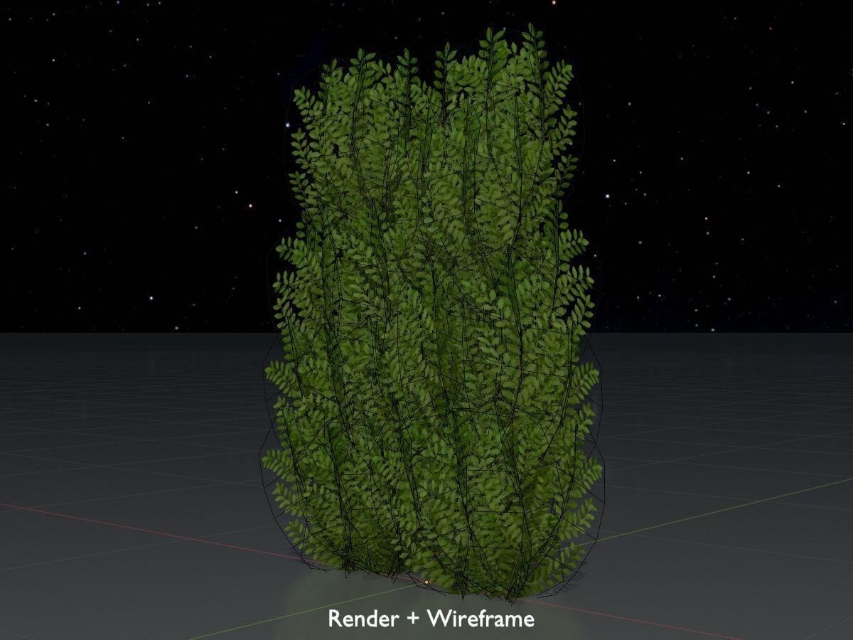 Cherry laurel hedge 1500mm version-2 Low-poly 3D model_7