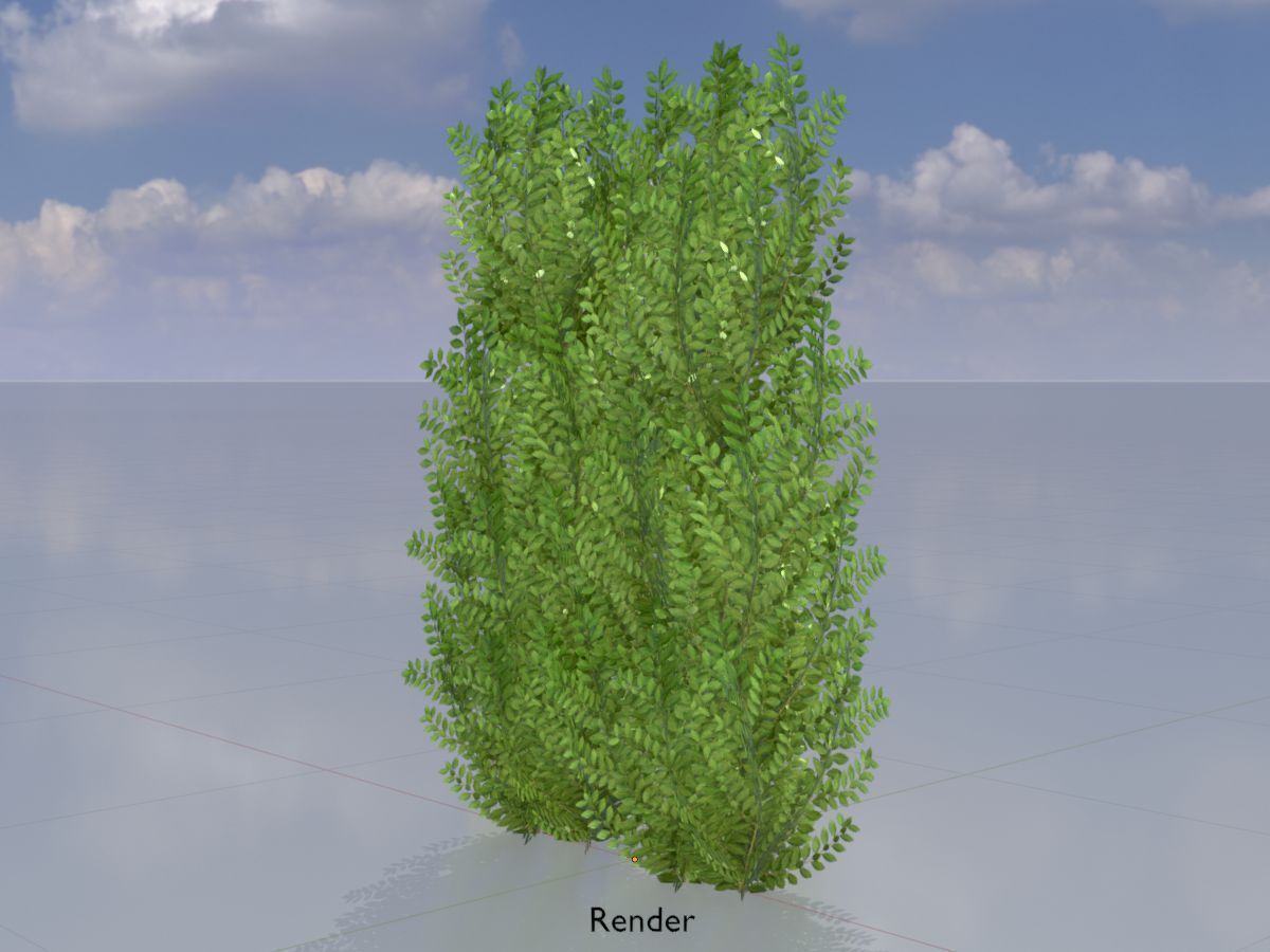 Cherry laurel hedge 1500mm version-2 Low-poly 3D model_13