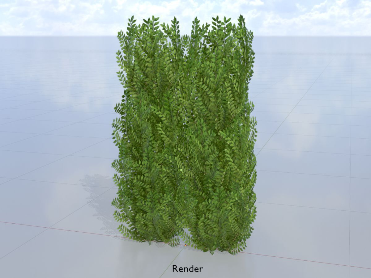Cherry laurel hedge 1500mm version-2 Low-poly 3D model_15