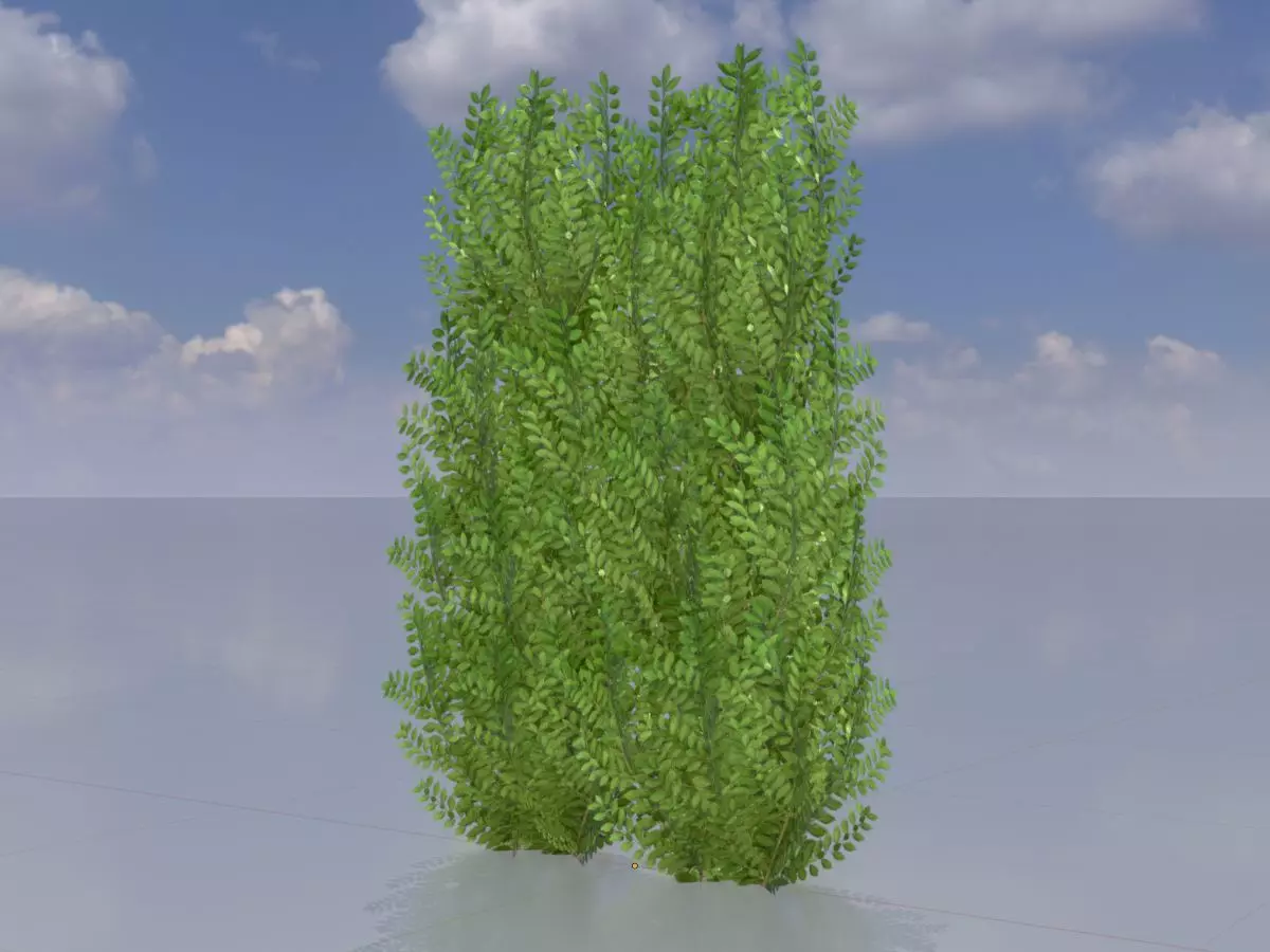 Cherry laurel hedge 1500mm version-2 Low-poly 3D model_0