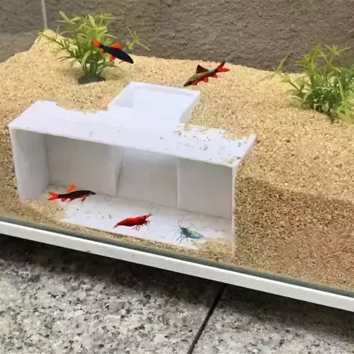 Tunel para peces 5 - acuario - pecera