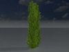 Cherry laurel hedge 2000mm version-1 Low-poly 3D model_1