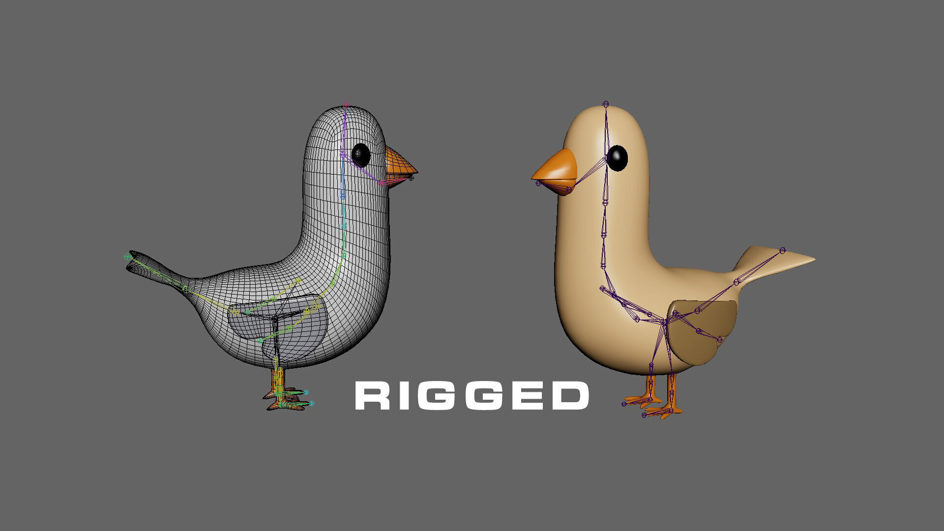 Low Poly - Cartoon Bird Rigged  Low-poly 3D model_2