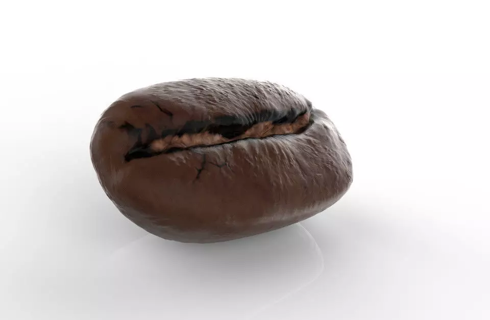 Coffee Bean 3D model